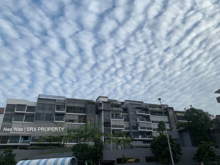 Stratum (D18), Condominium #482117851